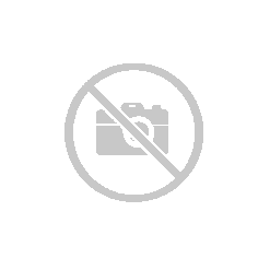 Präsentations-Kugelkopf 2-Loch