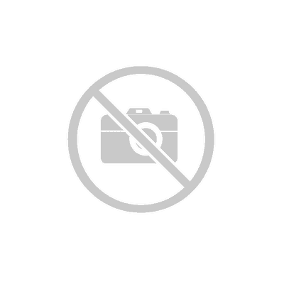 Skiträger / Snowboardträger Green Valley Rider 4 3 Skiträger / Snowboardträger Green Valley Rider 4